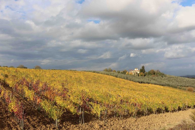 Italy Locations - Tuscany