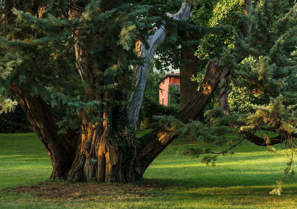 Italy Locations - Castel and Villas