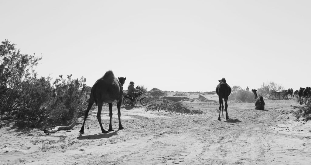 Attitude Production Locations - Marocco