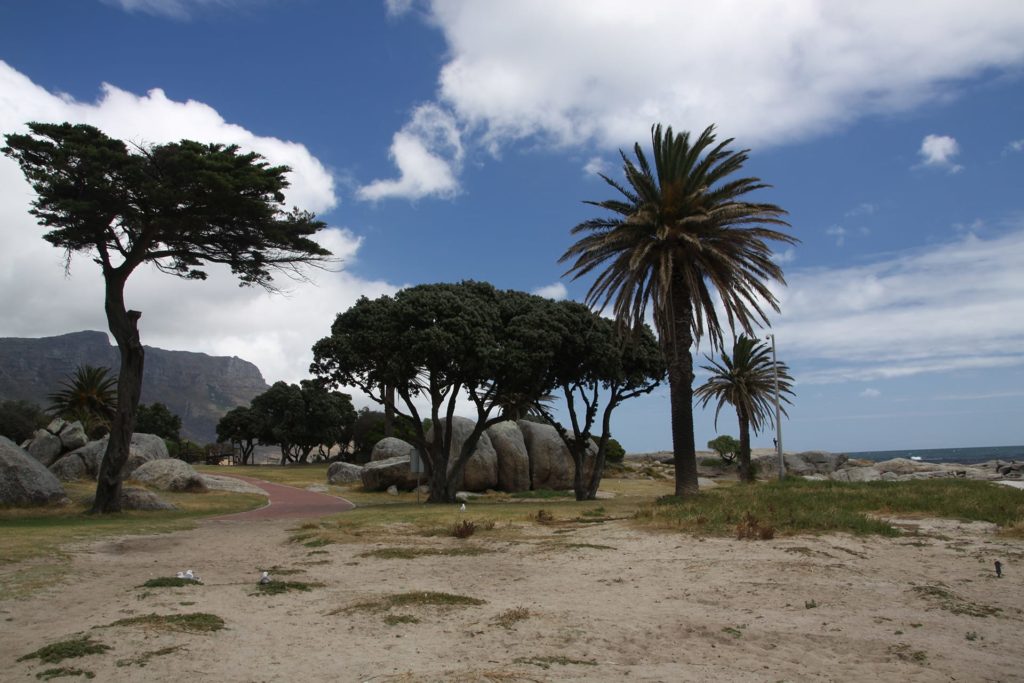 Attitude Production Locations - South Africa