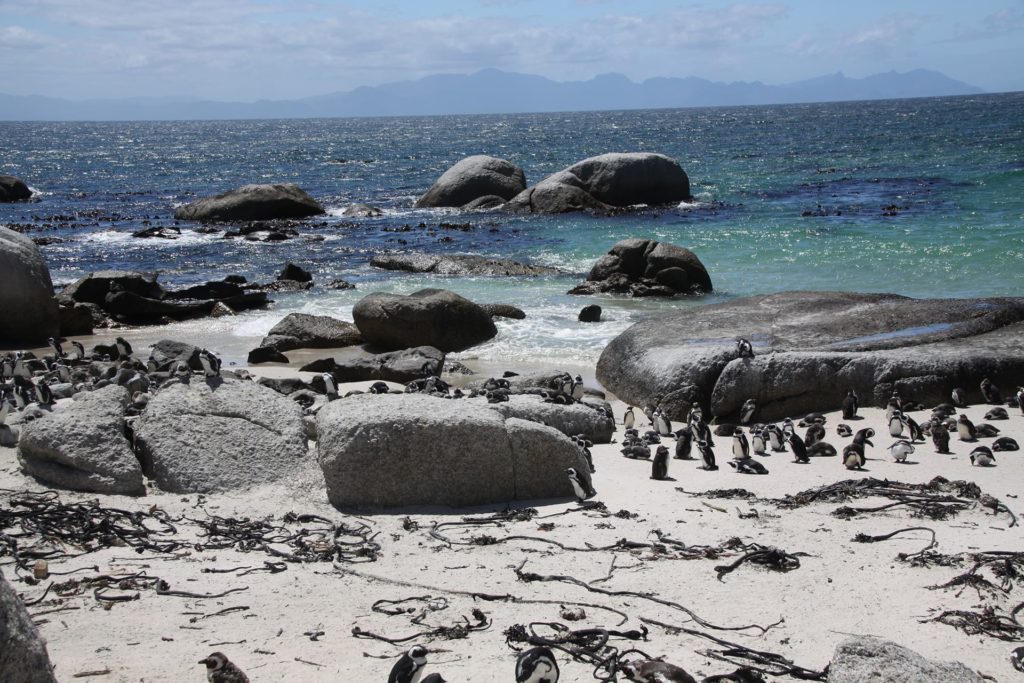 Attitude Production Locations - South Africa