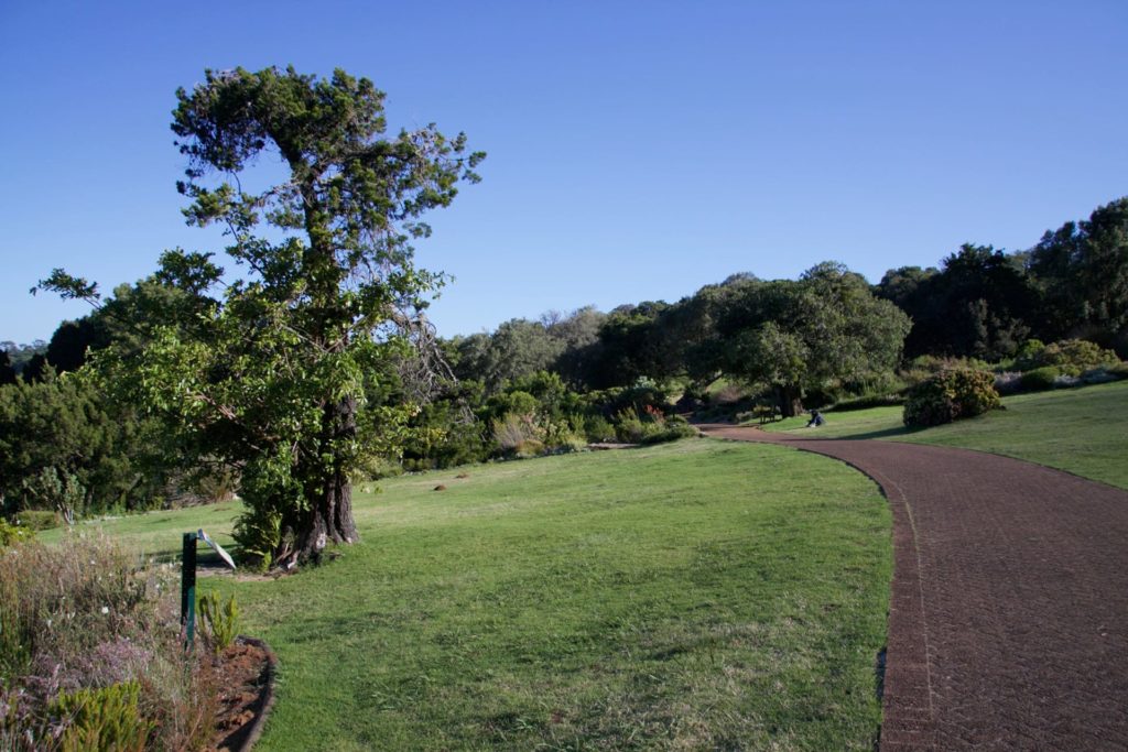 Attitude Production Locations - South Africa