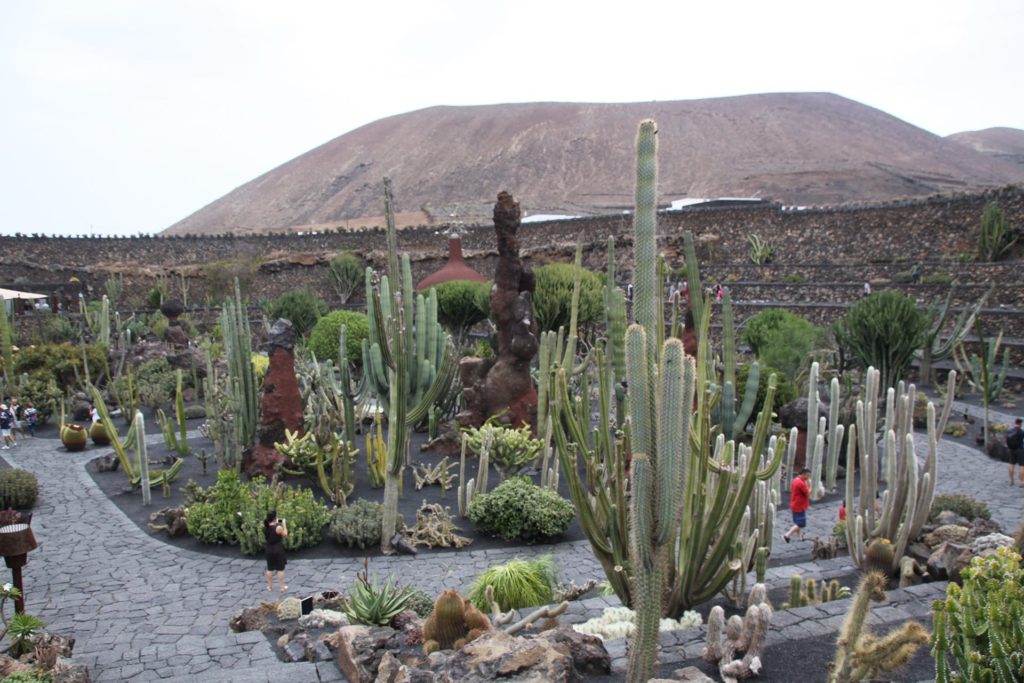 Attitude Production Locations - Canary Islands