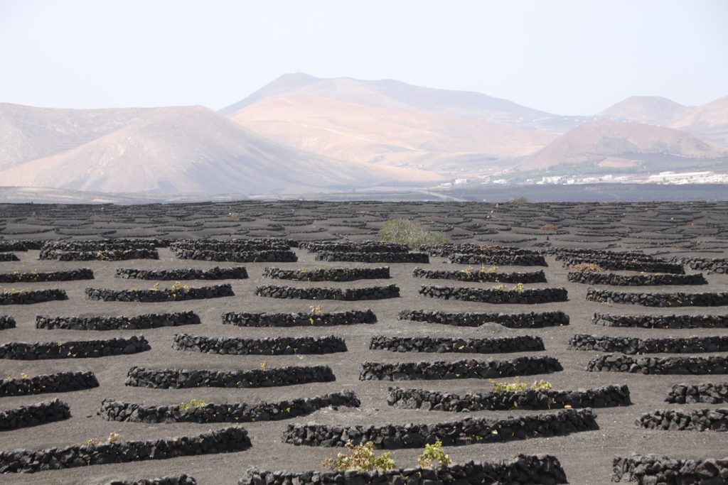Attitude Production Locations - Canary Islands