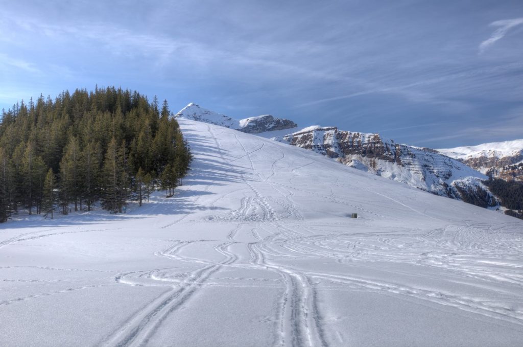 Attitude Production Locations Switzerland