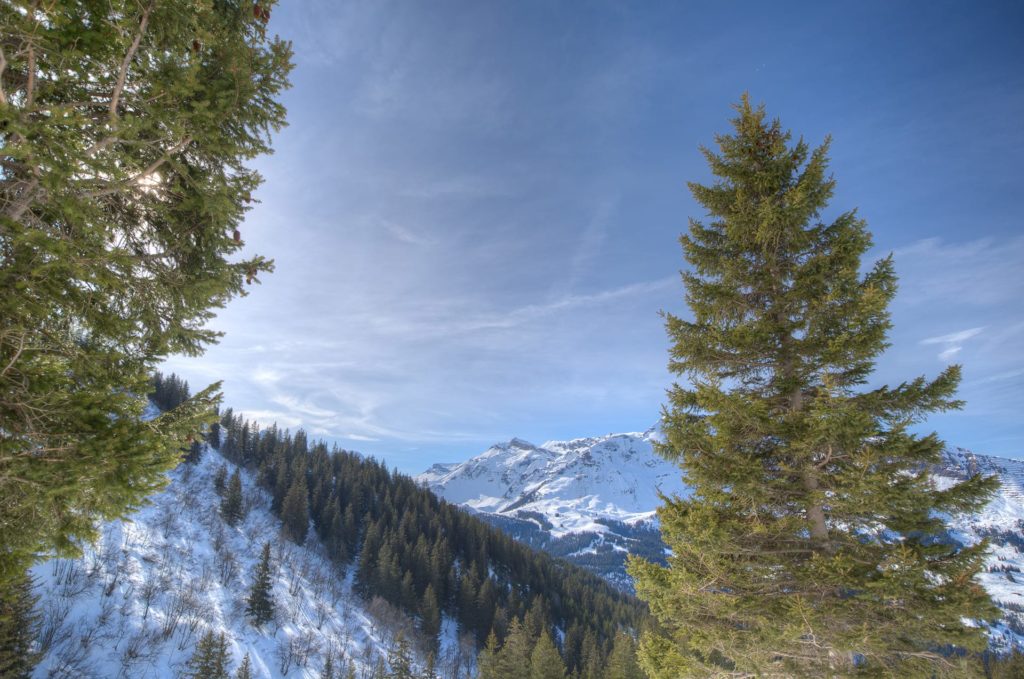 Attitude Production Locations Switzerland
