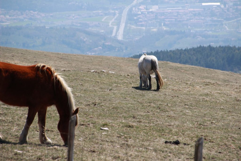 Italy Locations - Wild Nature