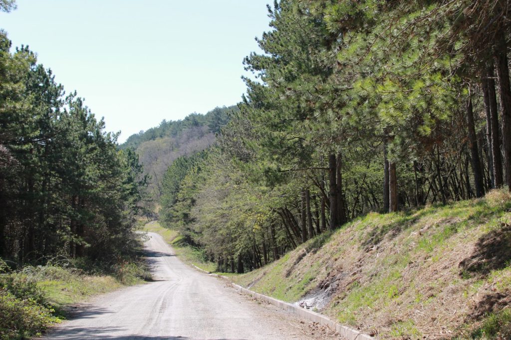 Italy Locations - Wild Nature