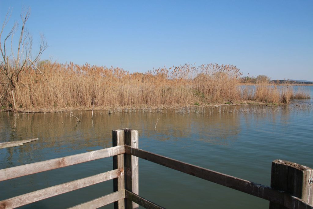 Italy Locations - Wild Nature
