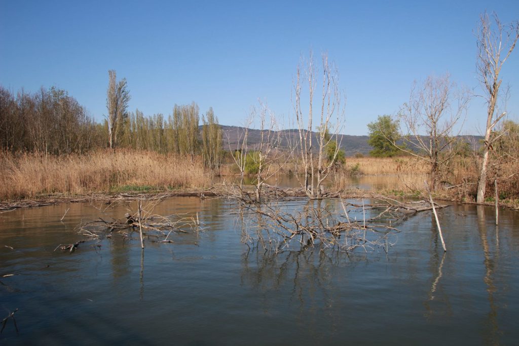 Italy Locations - Wild Nature