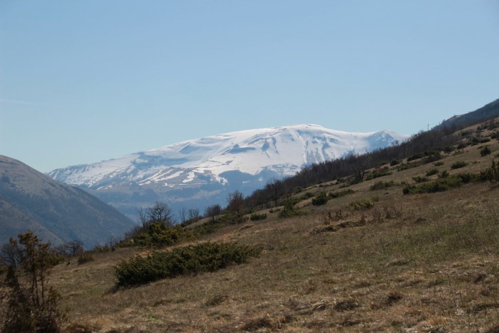 Italy Locations - Wild Nature