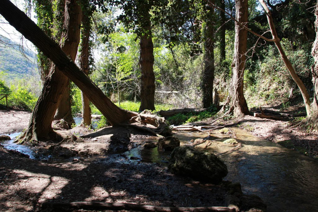 Italy Locations - Wild Nature