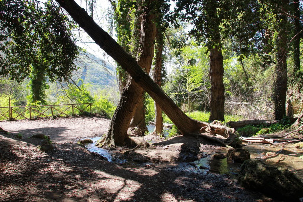 Italy Locations - Wild Nature