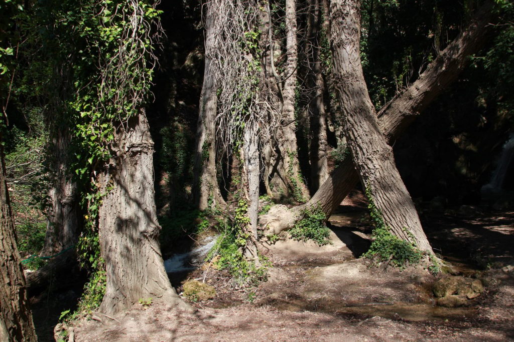 Italy Locations - Wild Nature