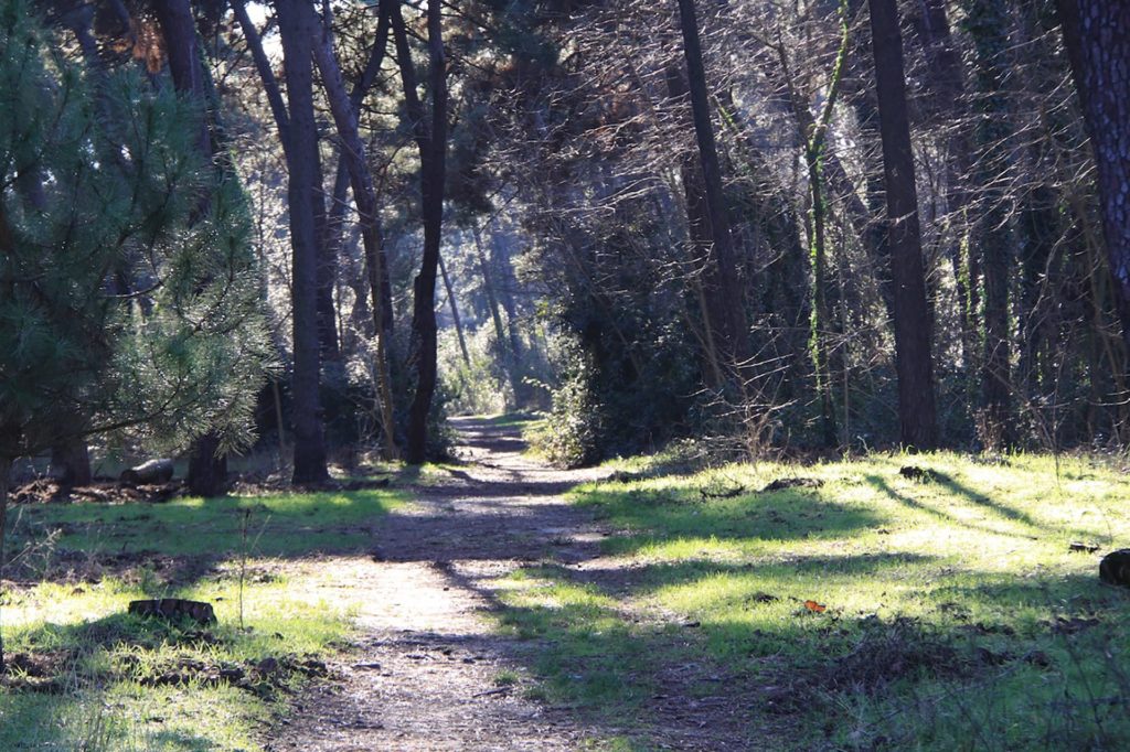 Italy Locations - Wild Nature