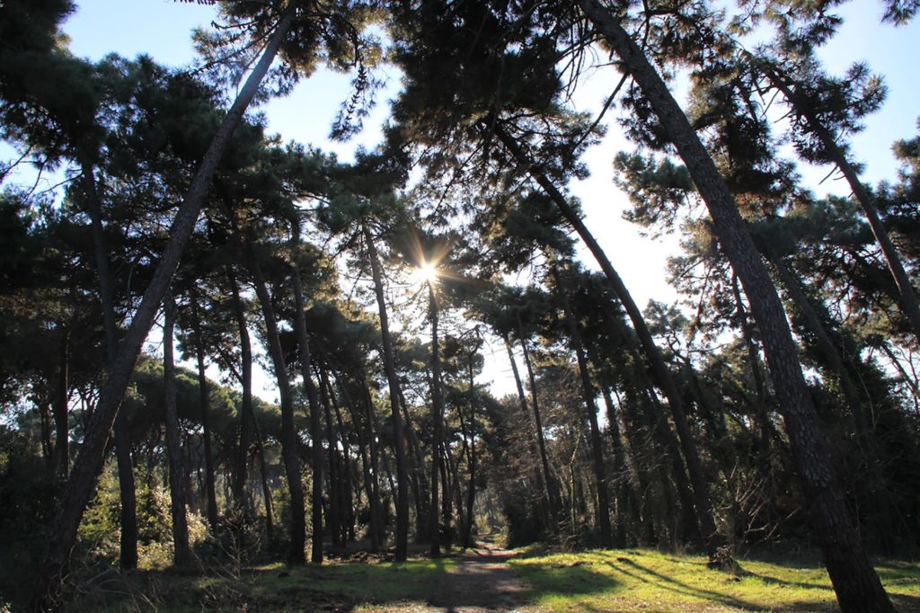 Italy Locations - Wild Nature