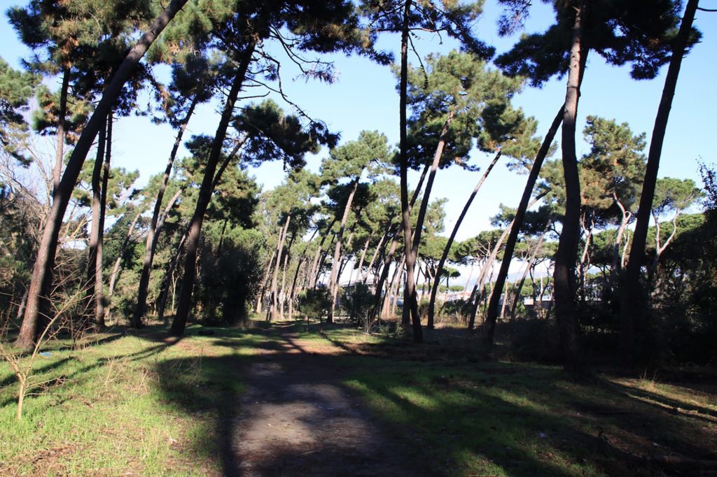 Italy Locations - Wild Nature