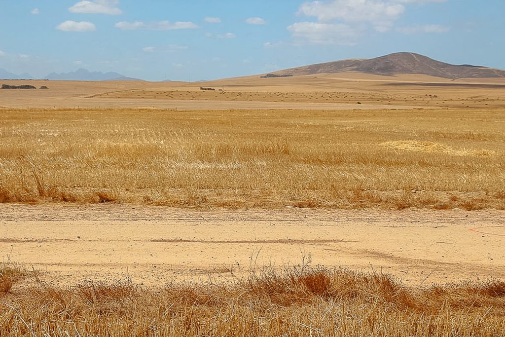 Attitude Production Locations - South Africa
