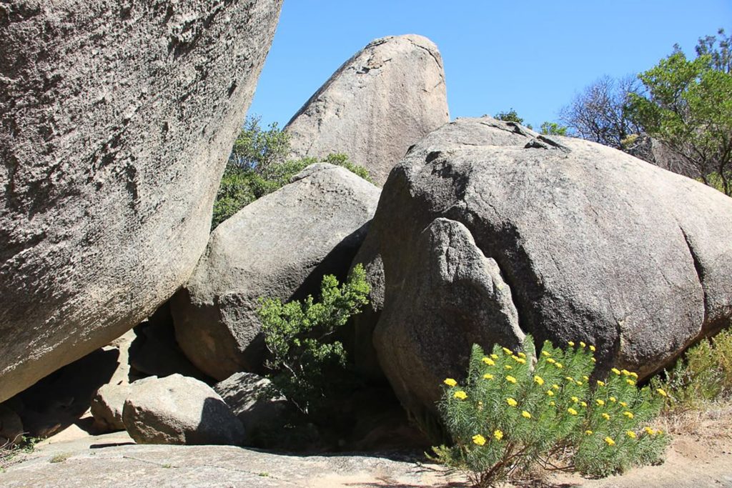 Attitude Production Locations - South Africa