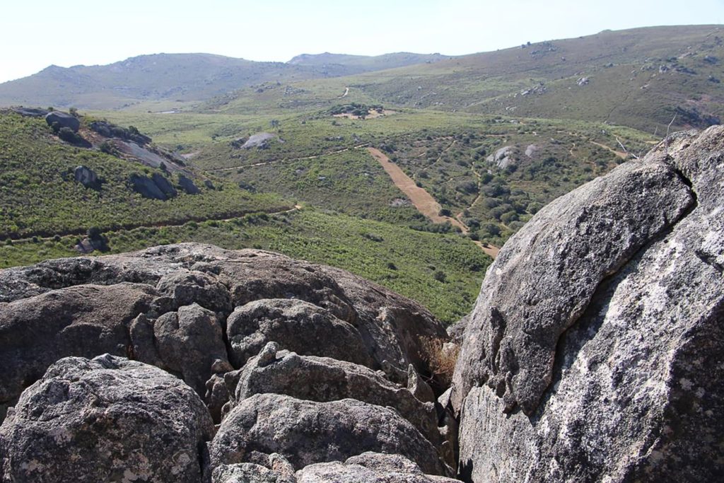 Attitude Production Locations - South Africa